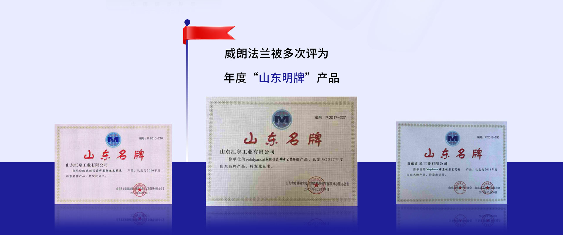 荣誉（品牌荣誉）_03.jpg